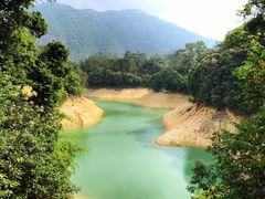 -广州市流溪河国家森林公园