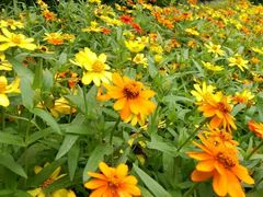 -交通银行(大连瓦房店铁东支行)