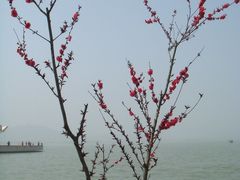 -苏州吴中太湖旅游区