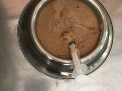 -爱侣宠医·鹦鹉专科·小型哺乳类·异宠专科(灵石路店)