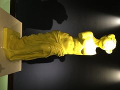 泰迪熊博物馆-成都泰迪熊博物馆