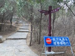 -佛慧山