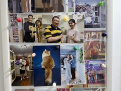 -青奢宠物·青奢猫舍