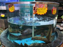 -华兴大酒楼(亿宝大厦店)