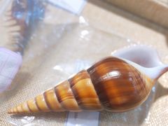 -摩登百货(岗顶店)