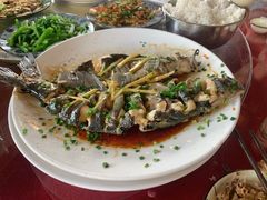 -生态苑农庄(十里画廊遇龙河店)