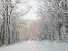 -北极村旅游风景区