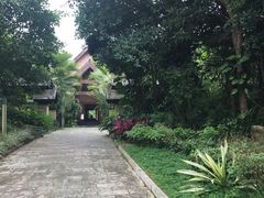-西双版纳洲际度假酒店-海鲜傣味烧烤·侬香全日制餐厅