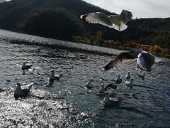 -丽江泸沽湖景区