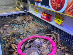 -开海·红岛海鲜虾水饺(石老人店)