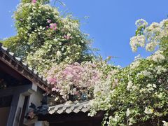 -深圳国际园林花卉博览园