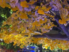-城墙拐拐火锅(三峡广场黑金冠店)
