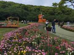-苏州上方山国家森林公园