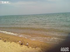 -日照海滨国家森林公园
