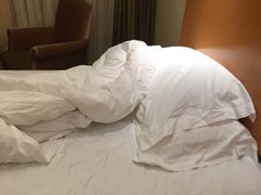 -维也纳国际酒店·深圳北站万众城店