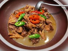 -农乐园食府(梅城镇店)