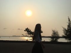 -东郊椰林