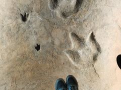 -湖南省地质博物馆