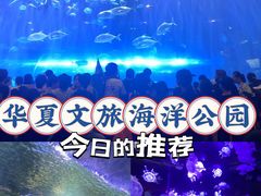 -华夏文旅海洋公园