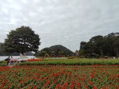 -广州市石门国家森林公园