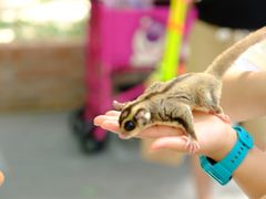 -北京野生动物园