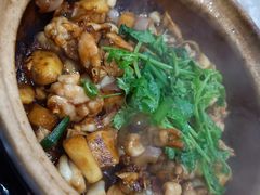 -金龙·打边炉(武进路店)