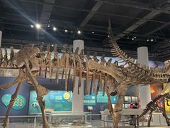 -国家自然博物馆