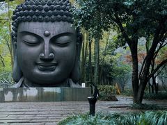 -杭州植物园