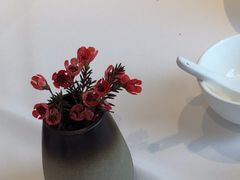 -眉州东坡(石景山店)