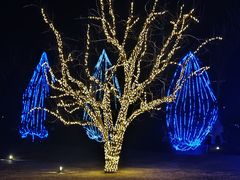 -春晖园度假酒店温泉