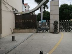 -糯米卷