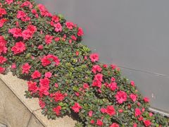 -FANEN法念·烘焙·甜点(万象城店)