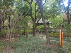 -华山儿童公园