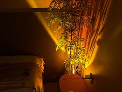 -宁采臣Sleep·采耳·SPA放松馆(湖里万达店)