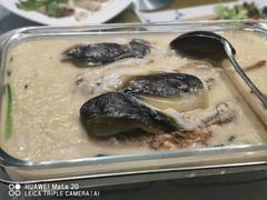 浓汤河豚鱼-老人和饭店(打浦路店)
