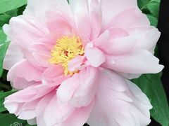 -华南国家植物园-售票处