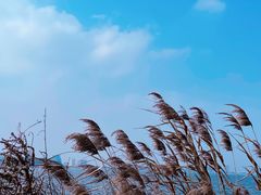 -滴水湖