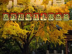 -汇龙潭