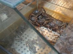 -领鲜活海鲜榴莲自助火锅(东门店)