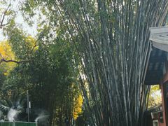 -望江楼公园