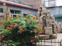 -天津医科大学第二医院