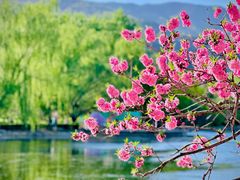 -国家植物园
