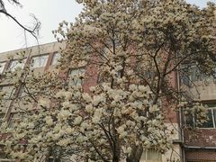 -首都医科大学附属北京友谊医院(西城院区)