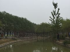 游乐设施-杨柳青庄园