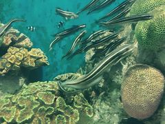 -福州罗源湾海洋世界旅游区