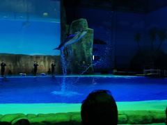 -华夏文旅西安度假区