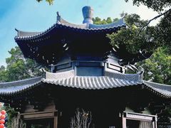 -荔湾湖公园