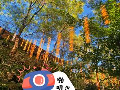 -本溪水洞