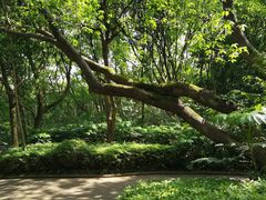 -杭州半山国家森林公园