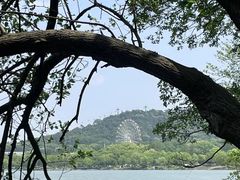-东湖生态旅游风景区